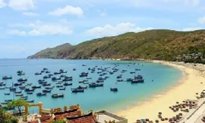 40 ha đất biển bắc Quy Nhơn được đấu giá gần 387 tỷ đồng 40 ha đất biển bắc Quy Nhơn được đấu giá gần 387 tỷ đồng