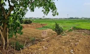 'Tìm đỏ mắt không thấy mảnh đất dưới 500 triệu đồng ở quê' 'Tìm đỏ mắt không thấy mảnh đất dưới 500 triệu đồng ở quê'