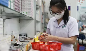 Nước tiểu có mùi hôi là bệnh gì? Nước tiểu có mùi hôi là bệnh gì?