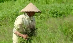 Đầu tuần tới ba miền nắng nóng Đầu tuần tới ba miền nắng nóng