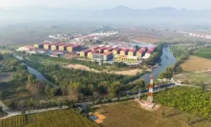 LHQ cảnh báo nạn lừa đảo trực tuyến ở châu Á đang lan ra thế giới LHQ cảnh báo nạn lừa đảo trực tuyến ở châu Á đang lan ra thế giới