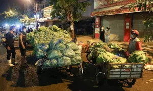 Tôi thua chị hàng xóm tháng kiếm 20 triệu nhờ bỏ mối rau quả Tôi thua chị hàng xóm tháng kiếm 20 triệu nhờ bỏ mối rau quả