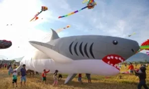 Diều 'hải sản' tung bay trên đồng lúa Khánh Hòa Diều 'hải sản' tung bay trên đồng lúa Khánh Hòa