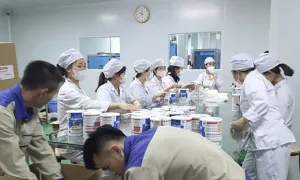 Hai ông chủ đường dây sữa bột giả chi 150.000 USD để 'chạy án'