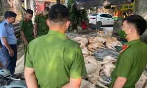 Phát hiện gần một tấn thịt heo bốc mùi tại nhà hàng ở Vĩnh Phúc Phát hiện gần một tấn thịt heo bốc mùi tại nhà hàng ở Vĩnh Phúc
