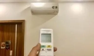 Vật dụng nào trong nhà có thể gây bệnh hô hấp?