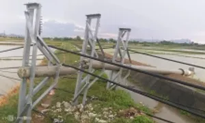 Hàng loạt cột điện gãy đổ sau cơn giông