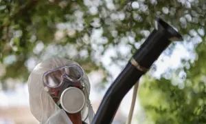 Người về từ vùng dịch Chikungunya cần theo dõi sức khỏe 12 ngày Người về từ vùng dịch Chikungunya cần theo dõi sức khỏe 12 ngày