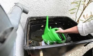 Múc nước mưa ở nhà hàng xóm có thể bị coi là ăn trộm ở Đức