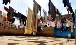 Người Mỹ đấu tranh để được phơi quần áo