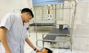 Chấn thương sọ não do cây ngã đập vào đầu Chấn thương sọ não do cây ngã đập vào đầu