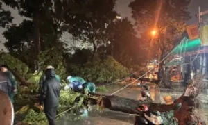 Cây xanh bật gốc đè hai bà cháu ở TP HCM